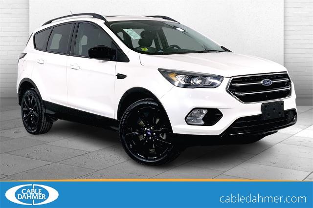 2018 Ford Escape Vehicle Photo in Lees Summit, MO 64086