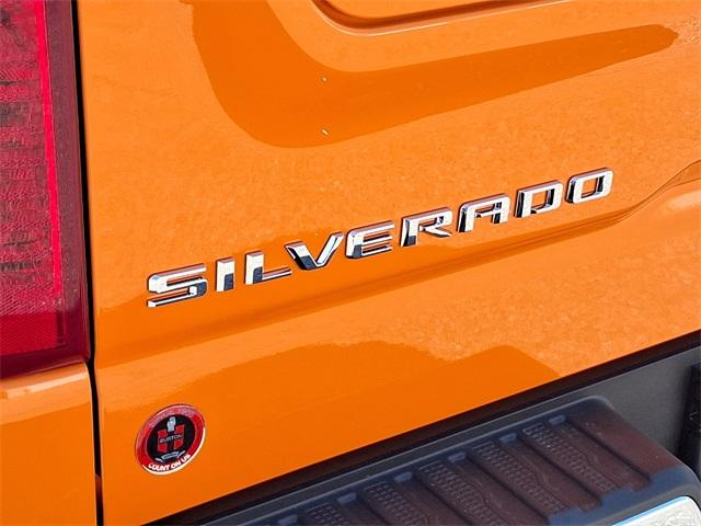 2025 Chevrolet Silverado 1500 Vehicle Photo in BERLIN, MD 21811-1121