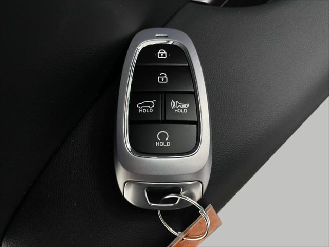 2025 Hyundai PALISADE Vehicle Photo in Appleton, WI 54913