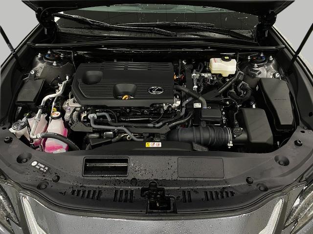 2024 Lexus ES 300h Vehicle Photo in Appleton, WI 54913