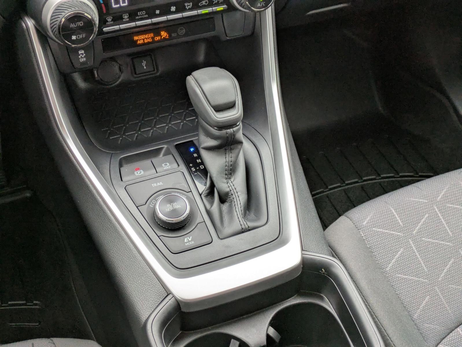 2020 Toyota RAV4 Vehicle Photo in SELMA, TX 78154-1460