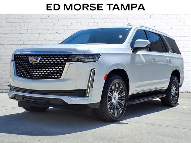 2022 Cadillac Escalade Vehicle Photo in Tampa, FL 33612