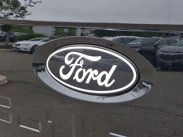 2024 Ford F-150 Vehicle Photo in PAWLING, NY 12564-3219