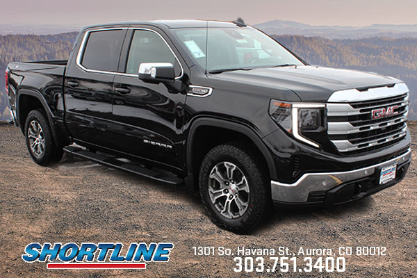 2025 GMC Sierra 1500 Vehicle Photo in AURORA, CO 80012-4011