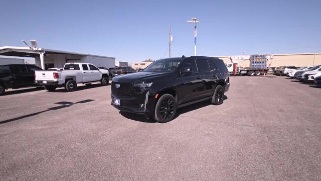 2024 Cadillac Escalade Vehicle Photo in NEDERLAND, TX 77627-8017