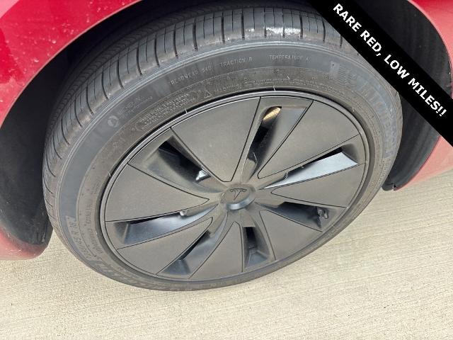 2024 Tesla Model 3 Vehicle Photo in San Antonio, TX 78230