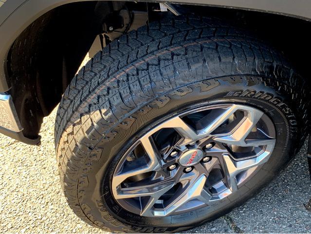 2025 GMC Sierra 1500 Vehicle Photo in BEAUFORT, SC 29906-4218