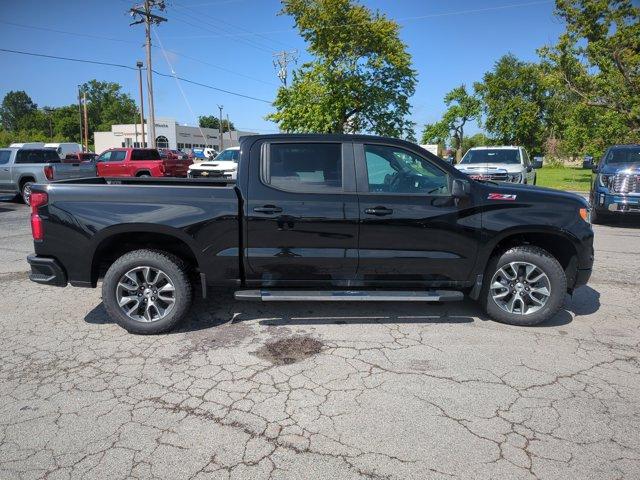 2025 Chevrolet Silverado 1500 Vehicle Photo in WEST FRANKFORT, IL 62896-4173