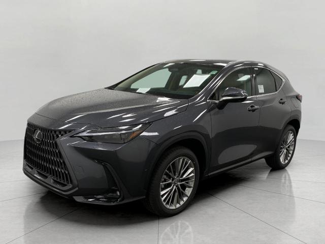 2025 Lexus NX 350 Vehicle Photo in Appleton, WI 54913