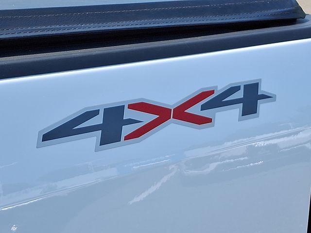 2022 Chevrolet Colorado Vehicle Photo in DANBURY, CT 06810-5034