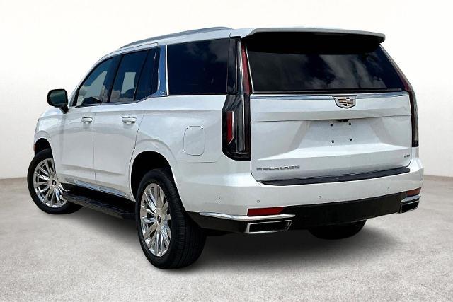 2023 Cadillac Escalade Vehicle Photo in San Antonio, TX 78230
