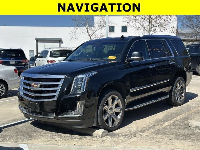 2019 Cadillac Escalade Vehicle Photo in San Antonio, TX 78230