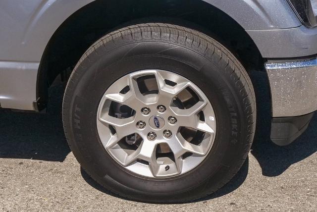 2023 Ford F-150 Vehicle Photo in VENTURA, CA 93003-8585
