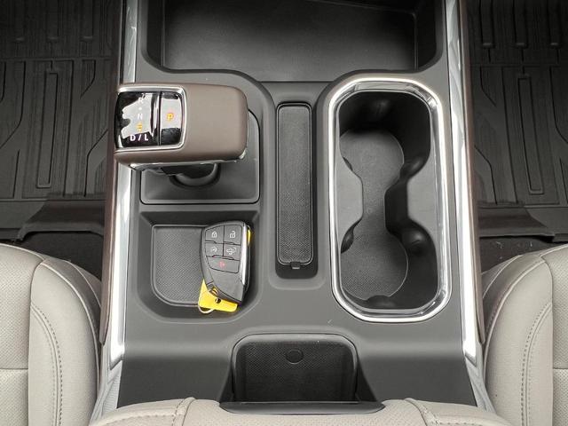 2025 GMC Sierra 1500 Vehicle Photo in EFFINGHAM, IL 62401-2832