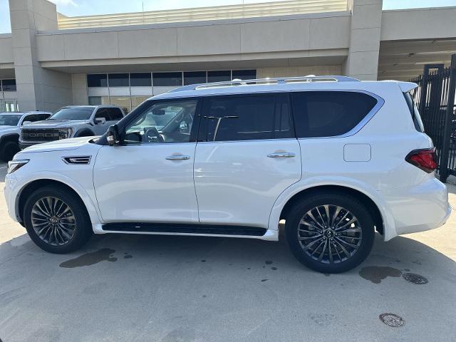 2024 INFINITI QX80 Vehicle Photo in Grapevine, TX 76051