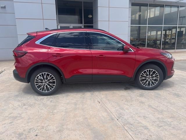 2024 Ford Escape Vehicle Photo in Winslow, AZ 86047-2439
