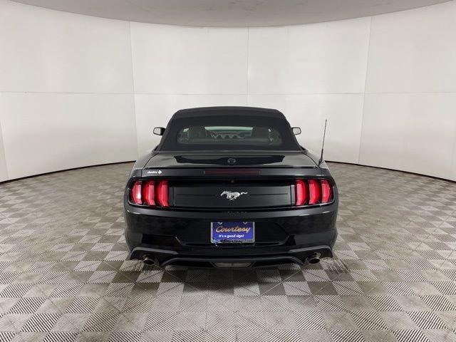 2022 Ford Mustang Vehicle Photo in PHOENIX, AZ 85014-3381