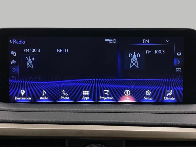 2022 Lexus RX 350 Vehicle Photo in Appleton, WI 54913