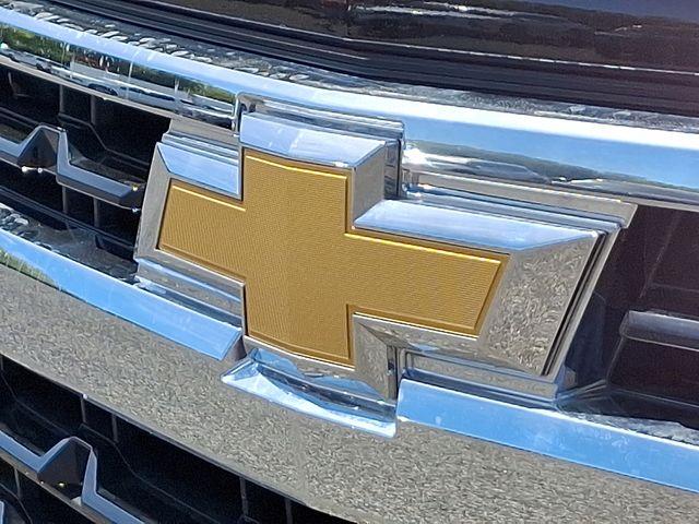 2023 Chevrolet Silverado 1500 Vehicle Photo in PAWLING, NY 12564-3219