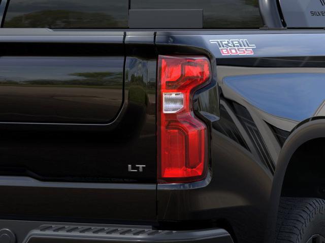2025 Chevrolet Silverado 1500 Vehicle Photo in Roslyn, NY 11576