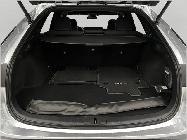 2025 Lexus RX 350 Vehicle Photo in Appleton, WI 54913