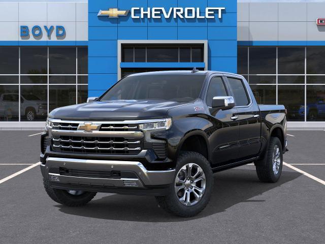2025 Chevrolet Silverado 1500 Vehicle Photo in EMPORIA, VA 23847-1235