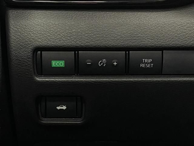 2025 Nissan Sentra Vehicle Photo in Appleton, WI 54913