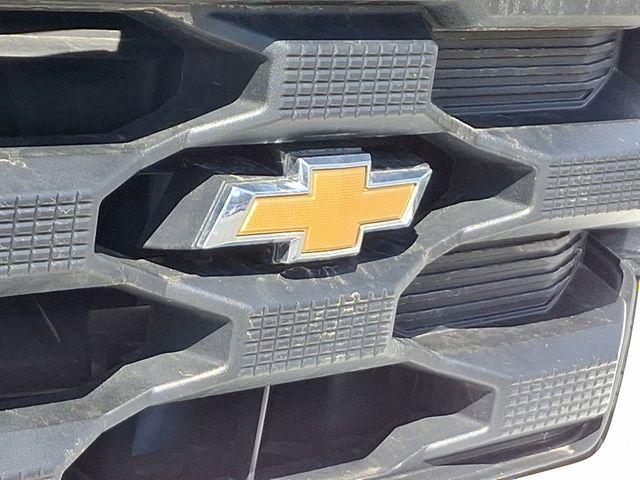 2024 Chevrolet Silverado 1500 Vehicle Photo in DANBURY, CT 06810-5034