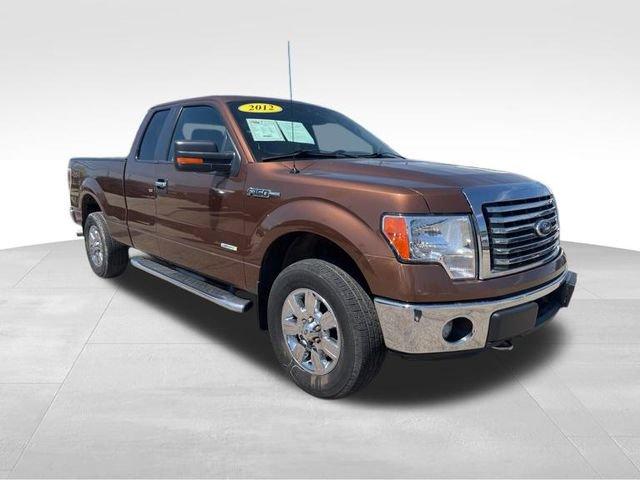 2012 Ford F-150 Vehicle Photo in MEDINA, OH 44256-9631