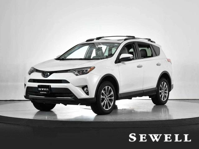 2017 Toyota RAV4 Vehicle Photo in DALLAS, TX 75235