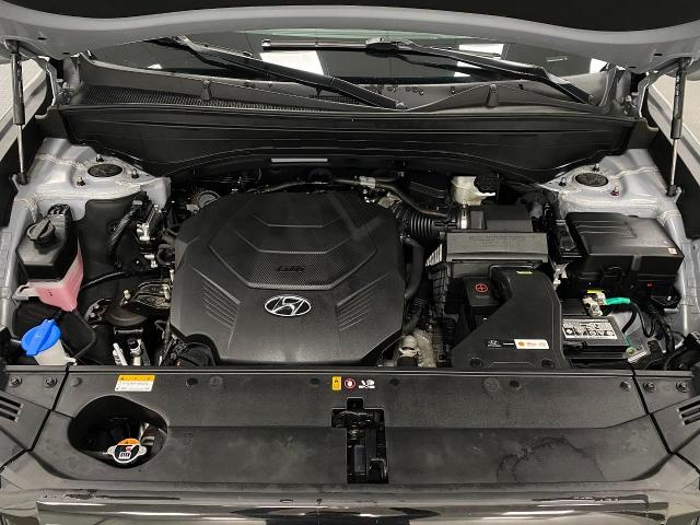 2024 Hyundai PALISADE Vehicle Photo in Appleton, WI 54913