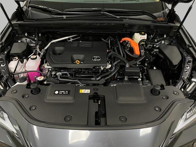 2025 Lexus NX 350h Vehicle Photo in Appleton, WI 54913