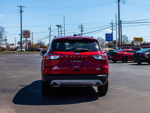 2020 Ford Escape Vehicle Photo in MADISON, IN 47250-1611