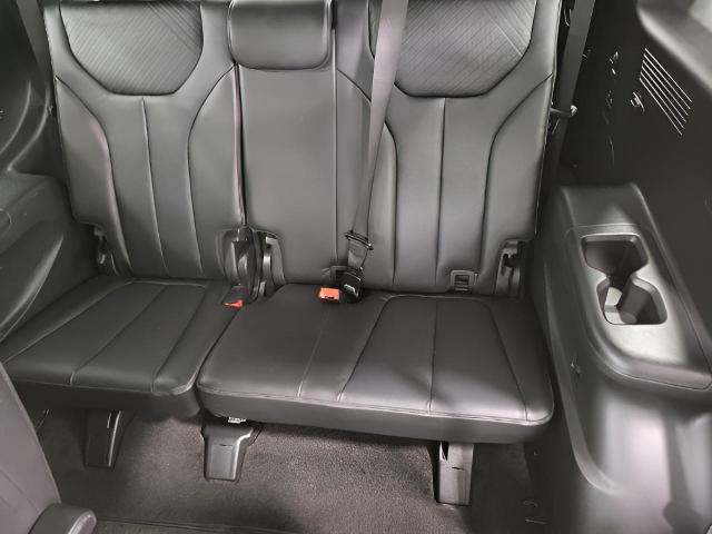 2024 Hyundai PALISADE Vehicle Photo in Oshkosh, WI 54904