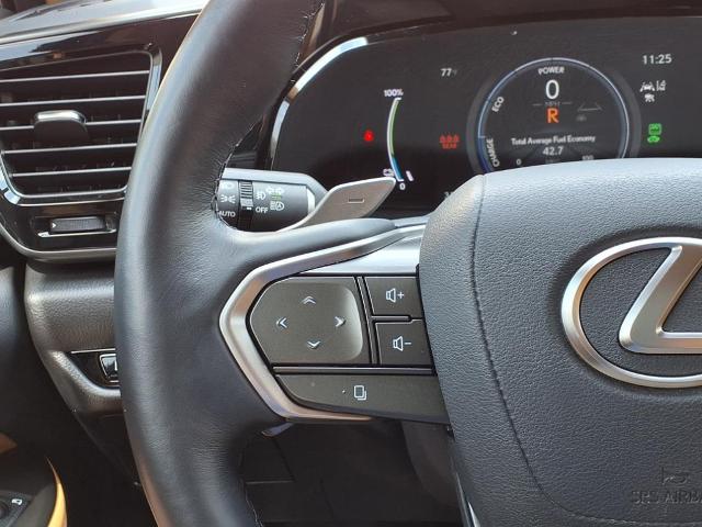 2024 Lexus NX Vehicle Photo in TAMPA, FL 33612-3404