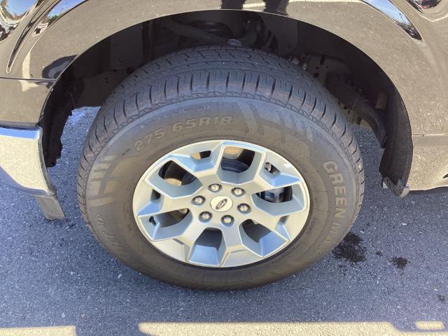 2023 Ford F-150 Vehicle Photo in Gardner, MA 01440
