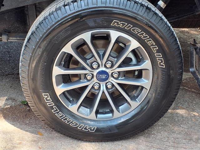 2020 Ford F-150 Vehicle Photo in San Antonio, TX 78230-1001