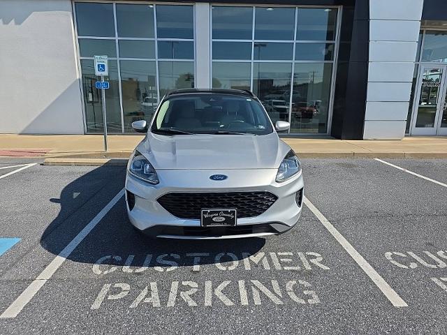 2020 Ford Escape Vehicle Photo in HARRISBURG, PA 17111-1033