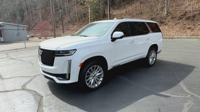 2021 Cadillac Escalade Vehicle Photo in MARION, NC 28752-6372