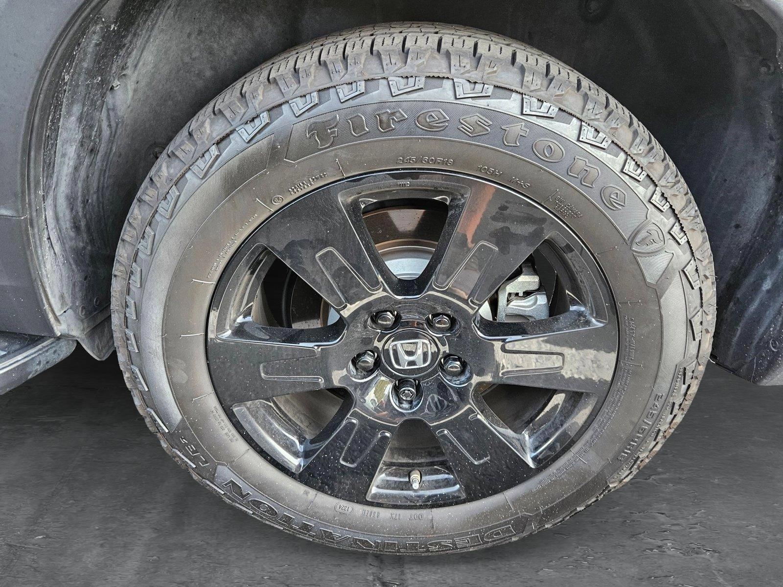 2022 Honda Pilot Vehicle Photo in Clearwater, FL 33764