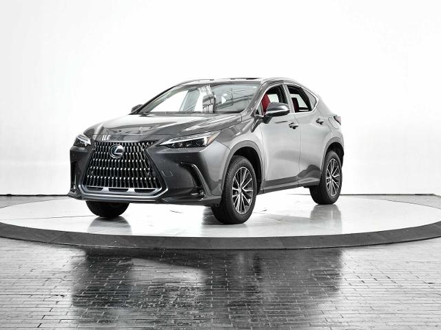 2024 Lexus NX 250 Vehicle Photo in DALLAS, TX 75235