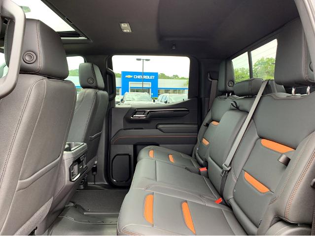 2025 GMC Sierra 1500 Vehicle Photo in BEAUFORT, SC 29906-4218
