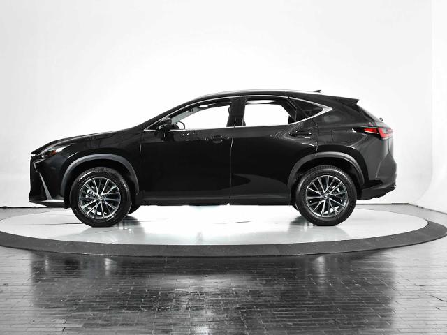 2025 Lexus NX 250 Vehicle Photo in DALLAS, TX 75235