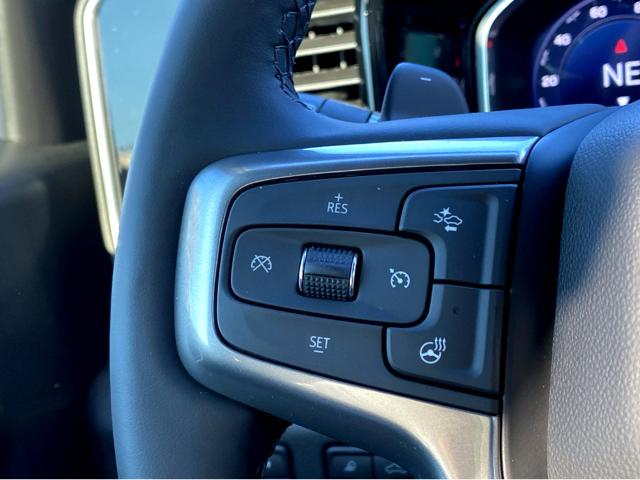2025 Chevrolet Silverado 1500 Vehicle Photo in BEAUFORT, SC 29906-4218