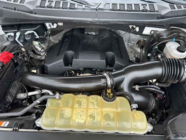 2020 Ford F-150 Vehicle Photo in MANITOWOC, WI 54220-5838