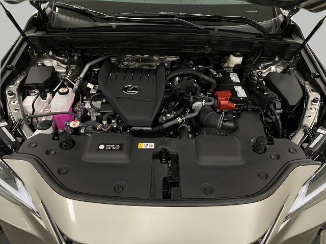 2025 Lexus NX 350 Vehicle Photo in Appleton, WI 54913