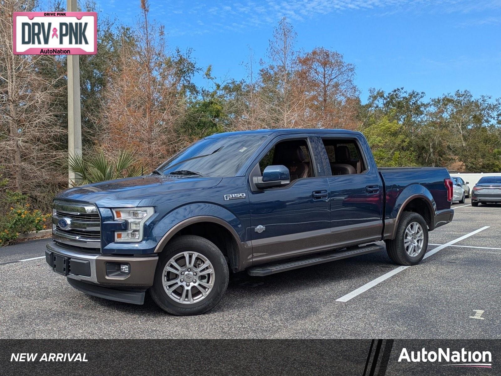 2017 Ford F-150 Vehicle Photo in Clearwater, FL 33761