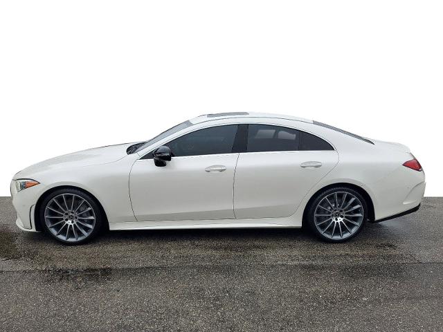 2019 Mercedes-Benz CLS Vehicle Photo in POMPANO BEACH, FL 33064-7091