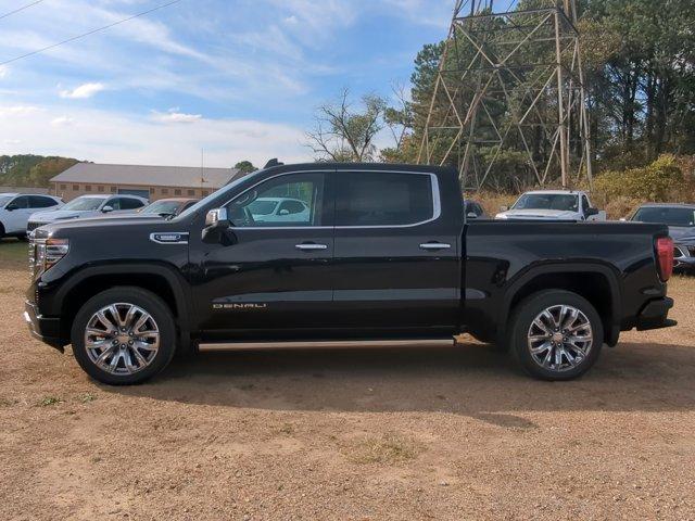 2025 GMC Sierra 1500 Vehicle Photo in ALBERTVILLE, AL 35950-0246
