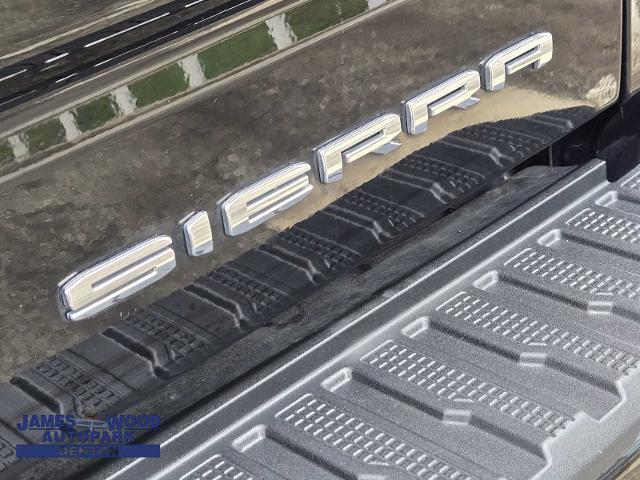 2019 GMC Sierra 1500 Vehicle Photo in DENTON, TX 76210-9321